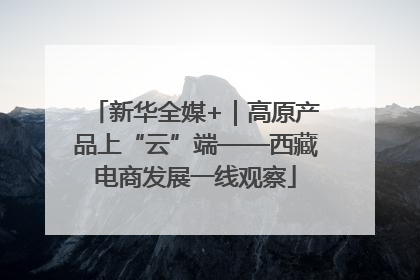 新华全媒+｜高原产品上“云”端——西藏电商发展一线观察