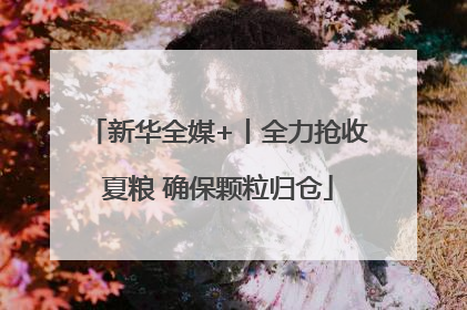 新华全媒+丨全力抢收夏粮 确保颗粒归仓