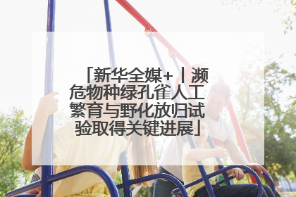新华全媒+丨濒危物种绿孔雀人工繁育与野化放归试验取得关键进展