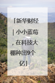 新华财经｜小小蓝莓，在科技大棚种出9个亿
