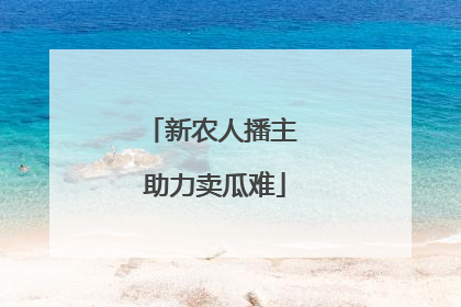 新农人播主 助力卖瓜难