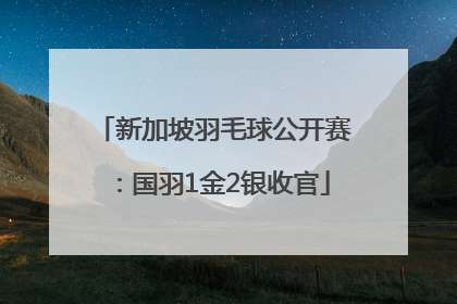 新加坡羽毛球公开赛：国羽1金2银收官