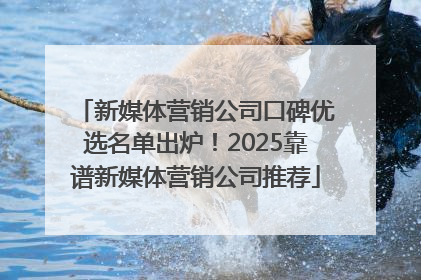 新媒体营销公司口碑优选名单出炉！2025靠谱新媒体营销公司推荐