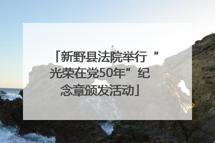 新野县法院举行“光荣在党50年”纪念章颁发活动