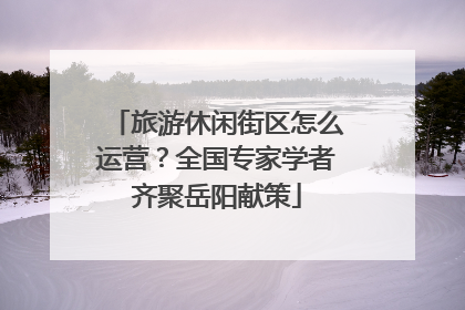 旅游休闲街区怎么运营？全国专家学者齐聚岳阳献策