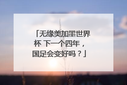 无缘美加墨世界杯 下一个四年，国足会变好吗？