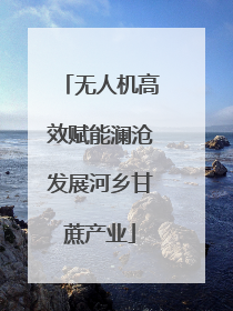 无人机高效赋能澜沧发展河乡甘蔗产业