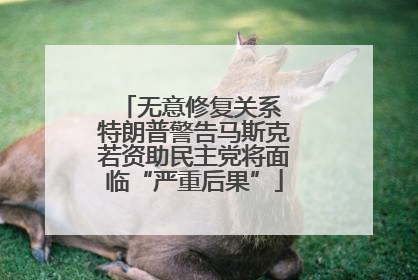 无意修复关系 特朗普警告马斯克若资助民主党将面临“严重后果”