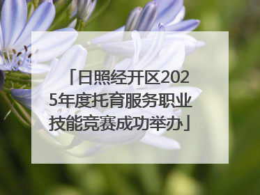 日照经开区2025年度托育服务职业技能竞赛成功举办