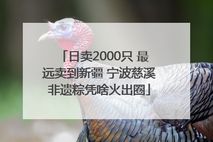 日卖2000只 最远卖到新疆 宁波慈溪非遗粽凭啥火出圈