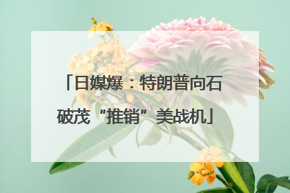 日媒爆：特朗普向石破茂“推销”美战机
