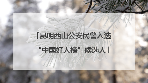 昆明西山公安民警入选“中国好人榜”候选人