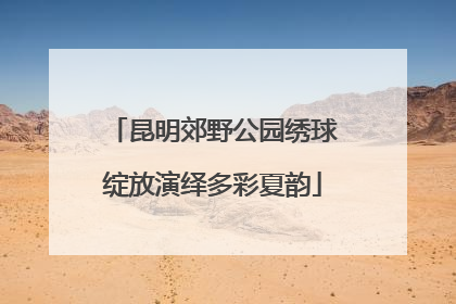 昆明郊野公园绣球绽放演绎多彩夏韵
