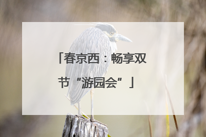 春京西：畅享双节“游园会”