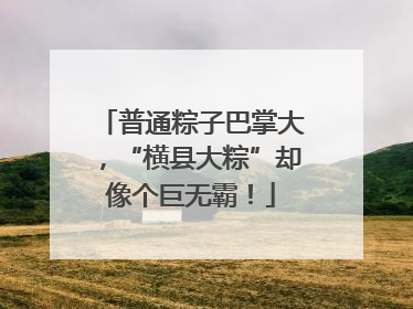 普通粽子巴掌大，“横县大粽”却像个巨无霸！