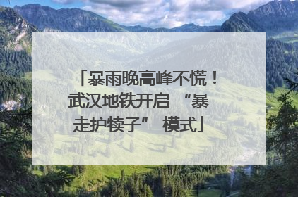 暴雨晚高峰不慌！武汉地铁开启 “暴走护犊子” 模式