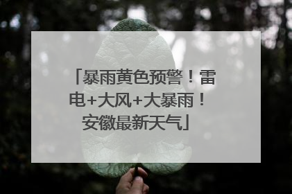 暴雨黄色预警！雷电+大风+大暴雨！安徽最新天气
