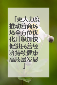 更大力度推动营商环境全方位优化升级加快促进民营经济持续健康高质量发展