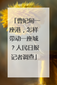 曹妃甸一座港，怎样带动一座城？人民日报记者调查