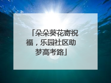 朵朵葵花寄祝福，乐园社区助梦高考路