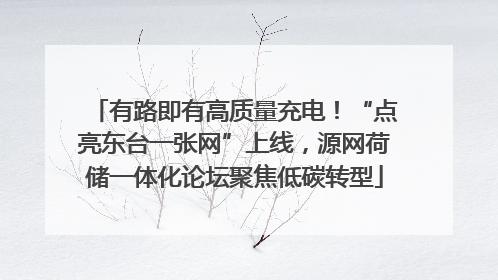 有路即有高质量充电！“点亮东台一张网”上线，源网荷储一体化论坛聚焦低碳转型