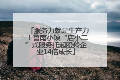 服务力就是生产力！鲁南小镇“店小二”式服务托起瞪羚企业14倍成长