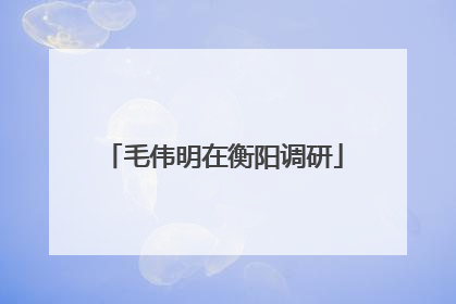 毛伟明在衡阳调研