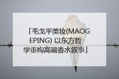 毛戈平美妆(MAOGEPING) 以东方哲学重构高端香水叙事