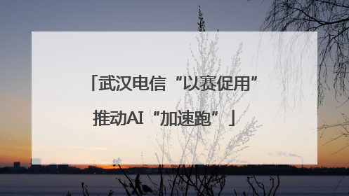 武汉电信“以赛促用”推动AI“加速跑”