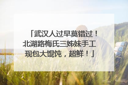 武汉人过早莫错过！北湖路梅氏三姊妹手工现包大馄饨，超鲜！