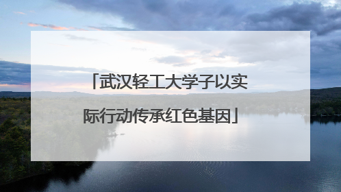 武汉轻工大学子以实际行动传承红色基因