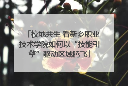校地共生 看新乡职业技术学院如何以“技能引擎”驱动区域腾飞