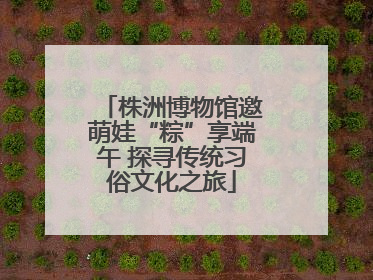 株洲博物馆邀萌娃“粽”享端午 探寻传统习俗文化之旅