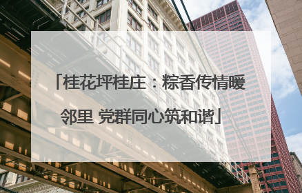 桂花坪桂庄：粽香传情暖邻里 党群同心筑和谐