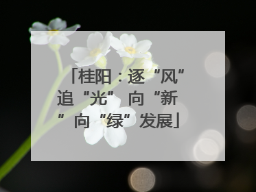 桂阳：逐“风”追“光” 向“新”向“绿”发展