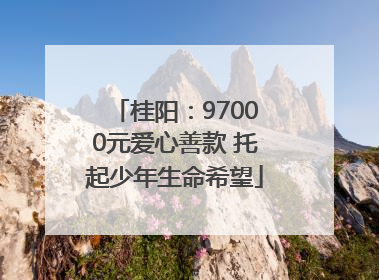 桂阳：97000元爱心善款 托起少年生命希望
