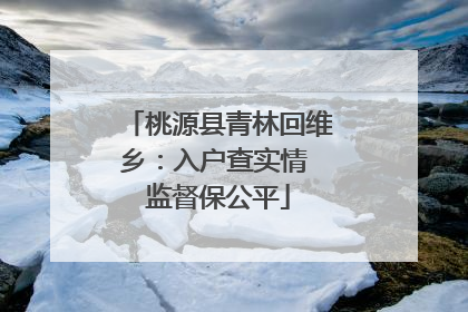 桃源县青林回维乡：入户查实情 监督保公平