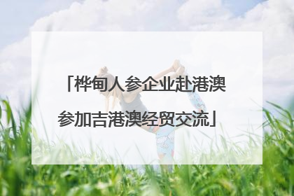 桦甸人参企业赴港澳参加吉港澳经贸交流