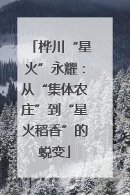 桦川“星火”永耀：从“集体农庄”到“星火稻香”的蜕变