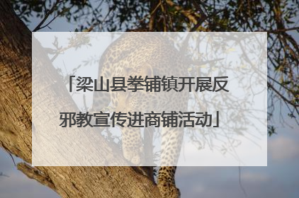 梁山县拳铺镇开展反邪教宣传进商铺活动