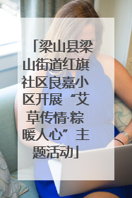 梁山县梁山街道红旗社区良嘉小区开展“艾草传情·粽暖人心”主题活动