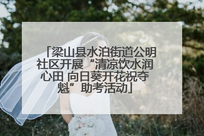 梁山县水泊街道公明社区开展“清凉饮水润心田 向日葵开花祝夺魁”助考活动