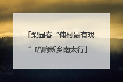 梨园春“俺村最有戏”唱响新乡南太行