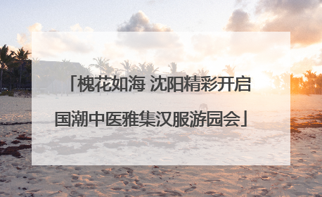 槐花如海 沈阳精彩开启国潮中医雅集汉服游园会