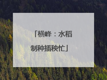 横峰：水稻制种插秧忙