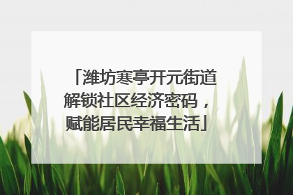 潍坊寒亭开元街道解锁社区经济密码，赋能居民幸福生活