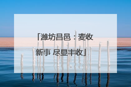 潍坊昌邑：麦收新事 尽显丰收