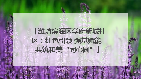 潍坊滨海区学府新城社区：红色引领 强基赋能 共筑和美“同心圆”