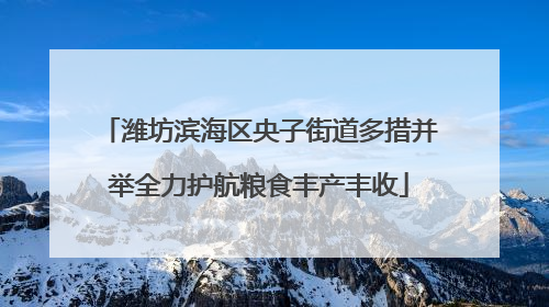 潍坊滨海区央子街道多措并举全力护航粮食丰产丰收