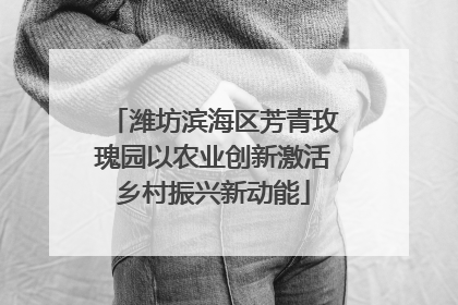 潍坊滨海区芳青玫瑰园以农业创新激活乡村振兴新动能